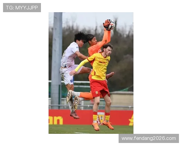 2022年世界杯足球赛的技术创新与战术变化，足球运动的新趋势