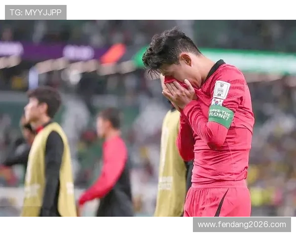 2022卡塔尔世界杯排名变化背后的关键因素分析