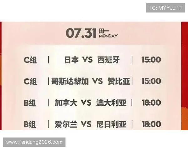 2026年女足世界杯赛事组织与安全保障措施详解