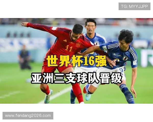 世界杯晋级球队的历史数据统计与分析报告