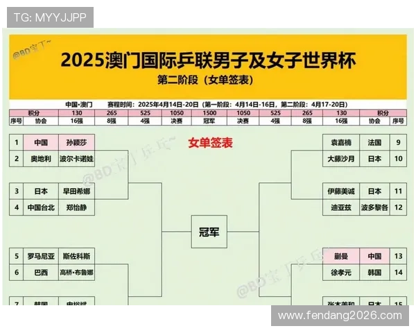 全面解读世界杯分组抽签规则表，帮助球迷理解抽签流程及影响比赛的关键因素