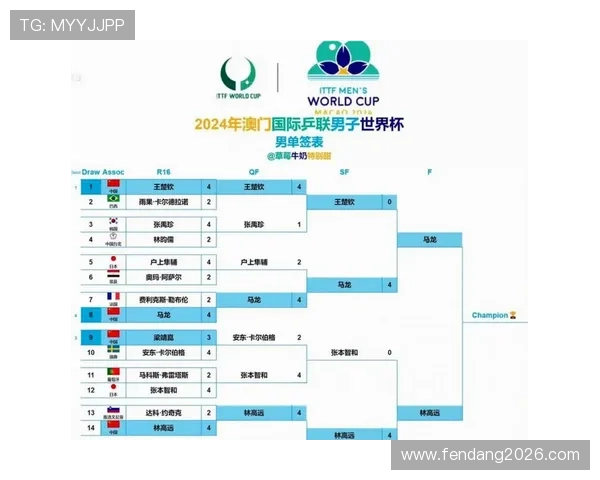 2026年世界杯参赛国家名单公布，哪些国家成功晋级成为焦点