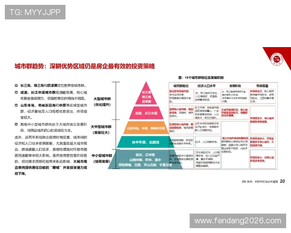 未来几届世界杯举办地的候选城市排名及其各自的优势与挑战分析