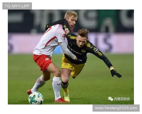 深入分析欧洲让球网的盘口变化趋势助你在足球投注中获得更多胜算