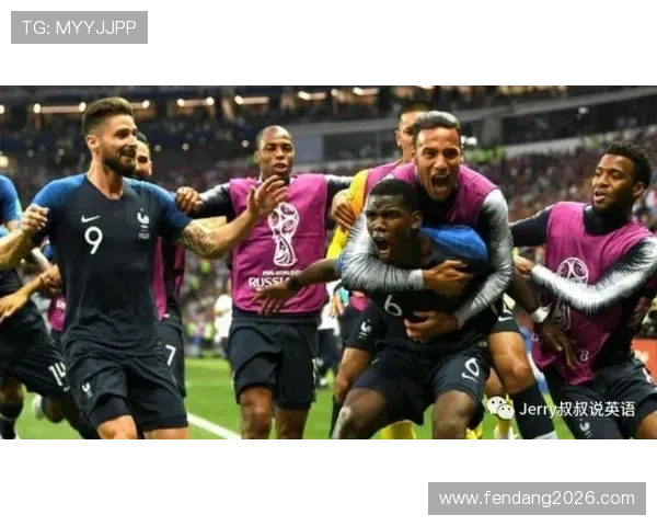 白岩松俄罗斯世界杯现场报道实录，深入探讨比赛精彩瞬间与赛事背后的人文故事