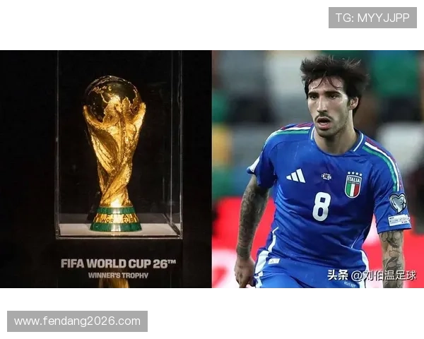 2026年世界杯决赛圈抽签仪式精彩回放全纪录详细解读